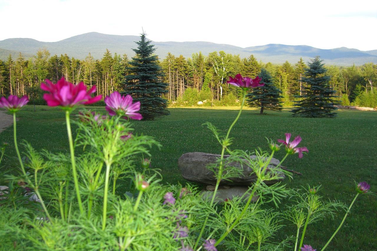 Robert Frost Mountain Cabins Middlebury Buitenkant foto