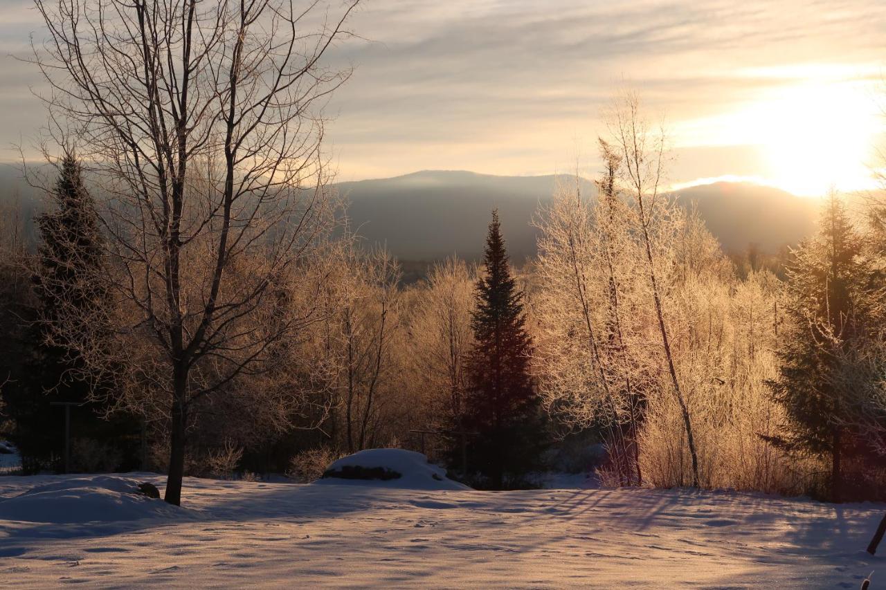 Robert Frost Mountain Cabins Middlebury Buitenkant foto